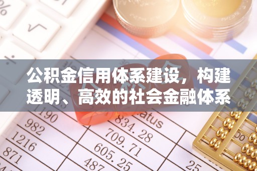 桃江公积金信用体系建设，构建透明、高效的社会金融体系