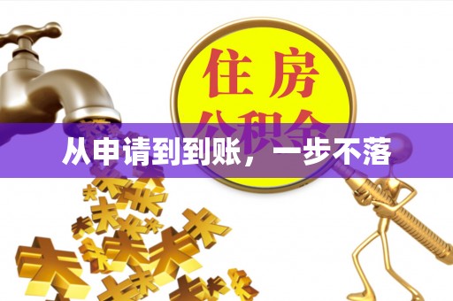 桃江从申请到到账，一步不落