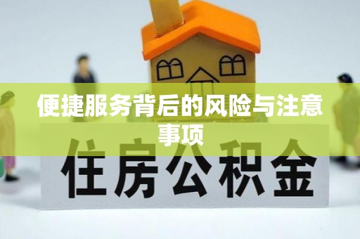 桃江便捷服务背后的风险与注意事项